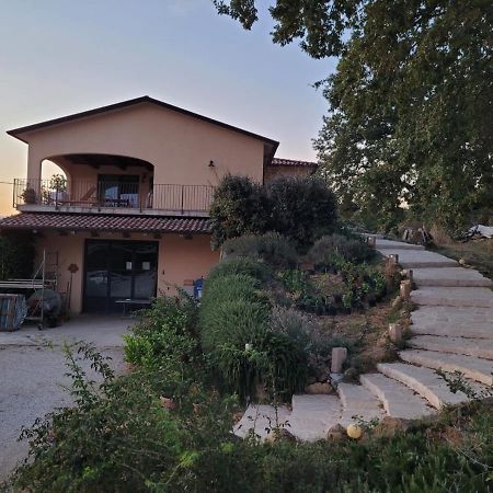 La Residenza Di Campagna Konuk evi Manciano Dış mekan fotoğraf
