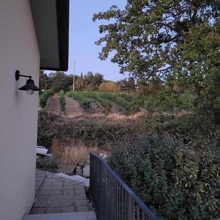 La Residenza Di Campagna Konuk evi Manciano Dış mekan fotoğraf