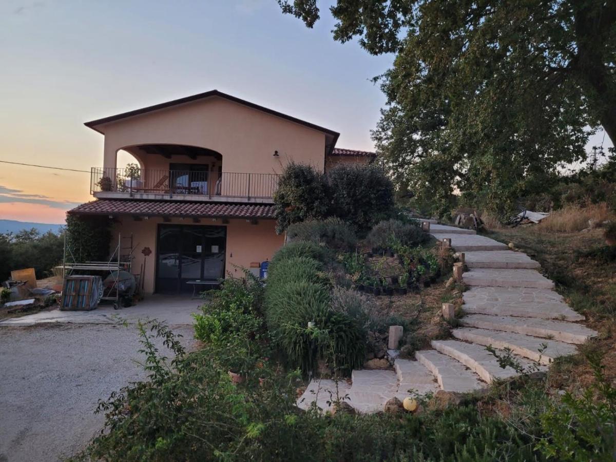 La Residenza Di Campagna Konuk evi Manciano Dış mekan fotoğraf