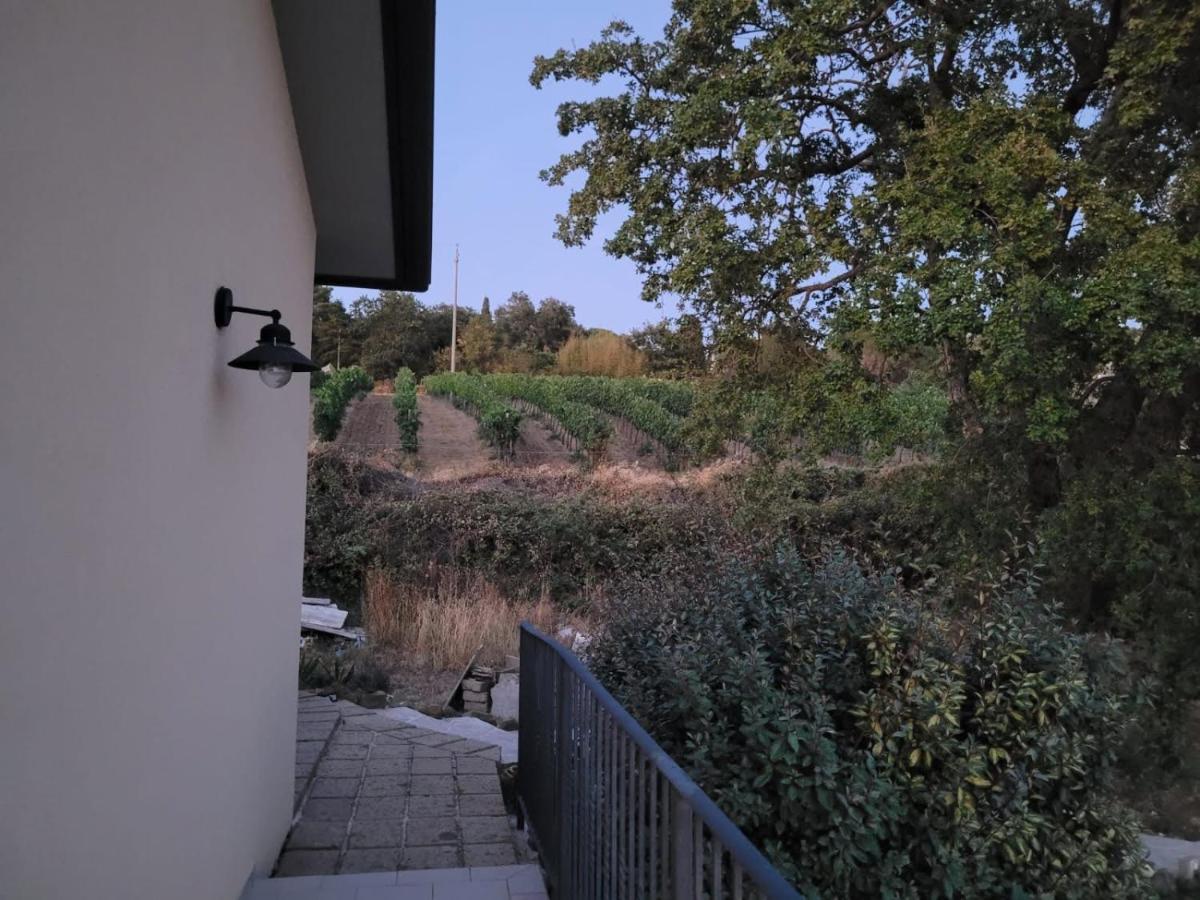 La Residenza Di Campagna Konuk evi Manciano Dış mekan fotoğraf