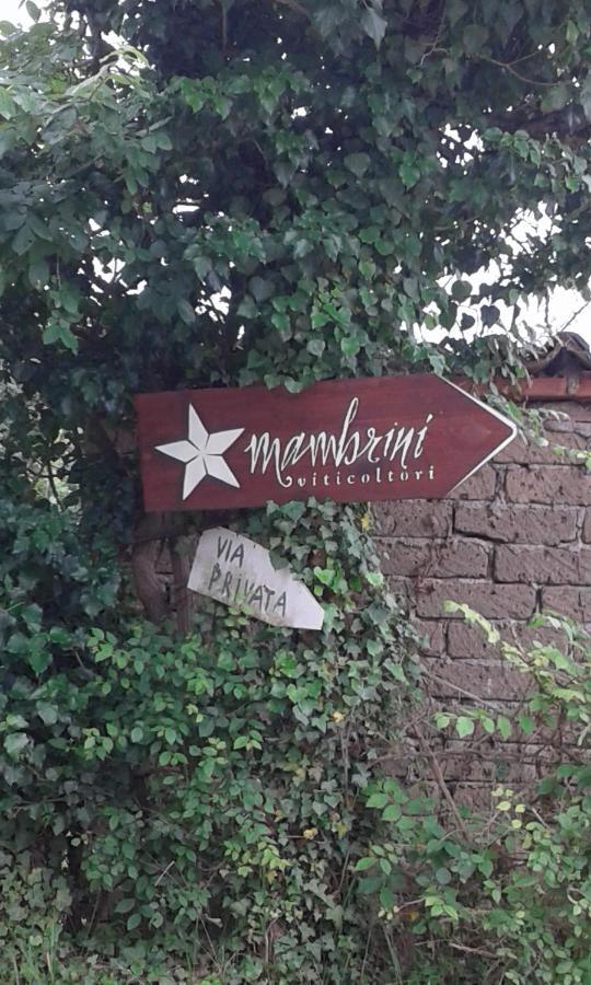 La Residenza Di Campagna Konuk evi Manciano Dış mekan fotoğraf