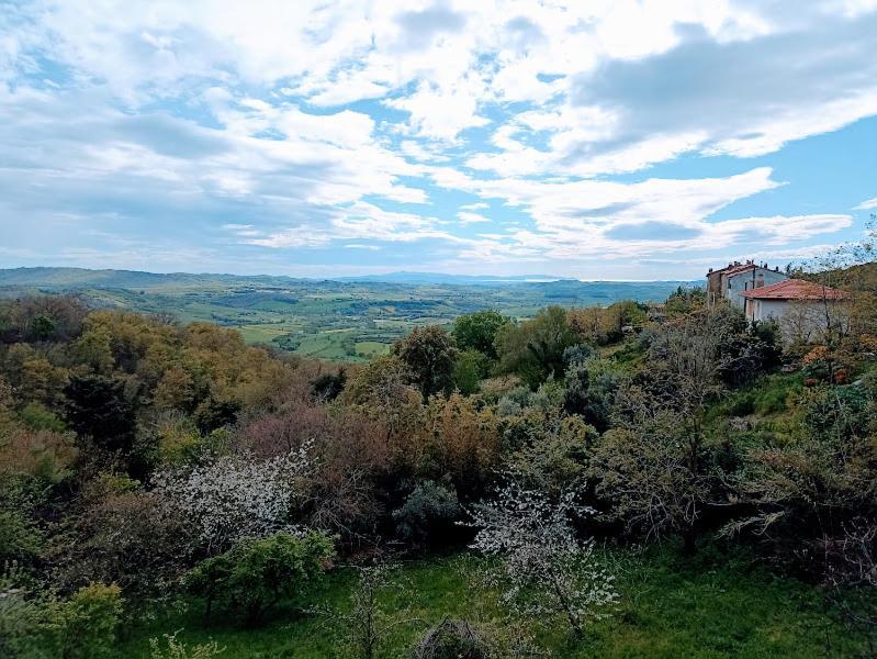La Residenza Di Campagna Konuk evi Manciano Dış mekan fotoğraf